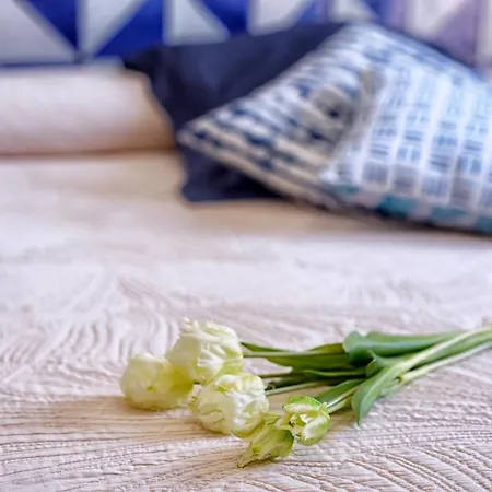 Lo Scoglio Della Formica 住宿加早餐酒店 卡普多兰多